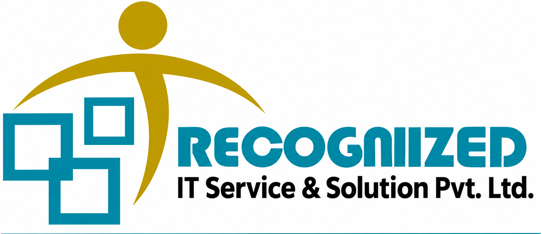 Recognized IT Service & Solution